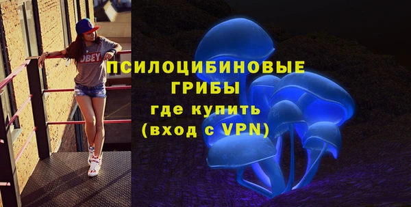 гидропоника Богданович