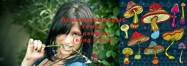 а пвп мука Бронницы