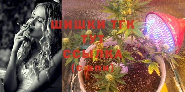 гидропоника Богданович